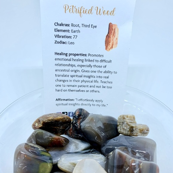 Tumbled Petrified Wood - Picture 2 of 4